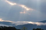 Reflections from a Healing Journey