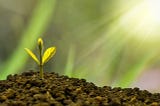 What is the Best Investment into Better Health?