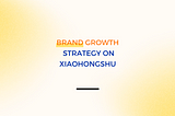 Case Study | 3 Key Strategies to Boost Brand Visibility and Sales on Xiaohongshu