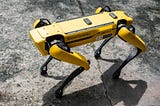 Coming to a Dog Park near you: A Robot Dog