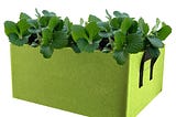 Increasing Vegetables in Self-Watering Storage units