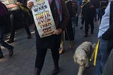 Arms around Parliament in call to free Julian Assange