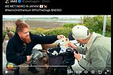 What if… Dogecoin , Shiba Inu and Neiro…