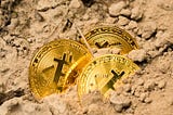 Bitcoin is becoming rare
