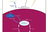 Constitution des Transitions 4/5