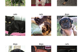 Image classification using two approches: Pretrained models with Fast.AI