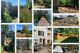 Ecolonie: 2 weeks in an ecological community