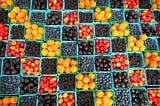 The future of berries amid climate change: a townhall discussion with Soren Bjorn, President of…