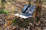 photo of a laptop on a tree trunk.