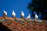 Five (the number of grace) doves perched on a roof top beneath a blue sky with a tree in the background.