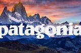 Brand Review: Patagonia pt.1