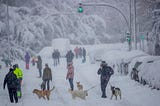 La tempête Filomena glace l’Espagne