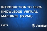 An introduction to zero-knowledge virtual machines (zkVMs)
