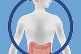 How To Maintain An Optimum Level Of Gaba In Our Body?