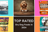 Top Rated Dry Dog Foods in 2024