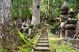 Narrow stone path leading through trees, graves and moss.