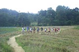 trekking in medipokuna, Medipokuna village trek, Halabe steel bridge, Trekking in Sri Lanka, Hiking in Sri Lanka, Sri Lanka trekking tours