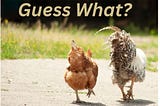 Photo of two chickens, one brown and one white, on a road with text on the top reading “Guess What?”
