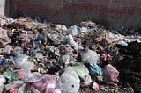 Environmental Pollution