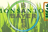 The Invasive Other: GMOs and Africa.