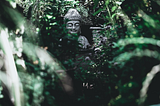 A buddha statue hiding among foliage.