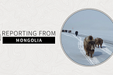 Reporting From: Mongolia