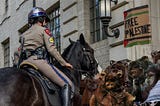 Ewok Rebellion Clubbed at Columbia