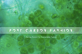 Your clothes can breathe. Interview with Post Carbon Lab on living, algae-containing, fabrics.