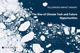 [Impact Insight] The Rise of Climate Tech and Future Opportunities