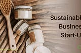 Sustainable Business Start-Up: A Guide to Developing a Sustainable Business Model