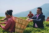 Tea Gardens in India | Rajeev Baid