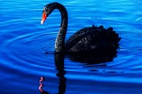 Dealing with Uncertainty, Black Swans, Coronavirus, Stock Market crashes