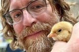 Selfie of a man with shoulder-length red hair and a beard, with a smattering of white hairs throughout. He is wearing brown glasses and looking at his hand, which is in the foreground of the camera. In his hand is a baby chicken, with only its fluffy yellow head visible. The background is a blurred classroom.