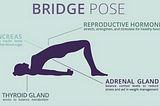 Yoga for… Hormonal Balance