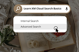 XM Cloud Search — Basics!