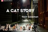 A Cat Story