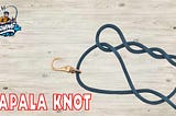 Rapala Knot Steps, Tying a Rapala Knot — Fishing Fetch