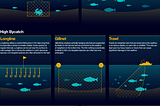 Week 10: Marine Bycatch Along New York’s Coast