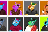Meet the Witty Team of Witty Rhino Club NFT Collection