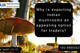 Why is exporting Indian mushrooms an appealing option for traders?