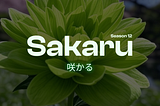 Season 12 — Sakaru