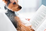 F1 score in NLP span-based QA task