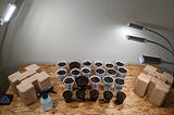 DIY indoor garden with seed containers and grow lights