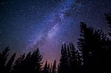 Starry night in forest