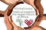 Giving Tuesday: Call-to-Action