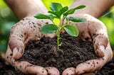 Present Condition of Agriculture in the Country