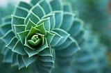 The implementation of biomimetics in the design and development of highly efficient user interfaces