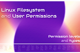 Linux Filesystem and User Permissions