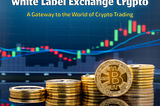 White Label Exchange Crypto