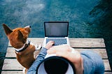 Man typing on laptop with dog.